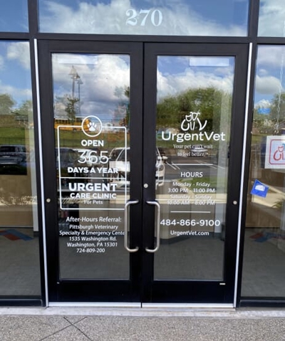 Window Graphics Photo